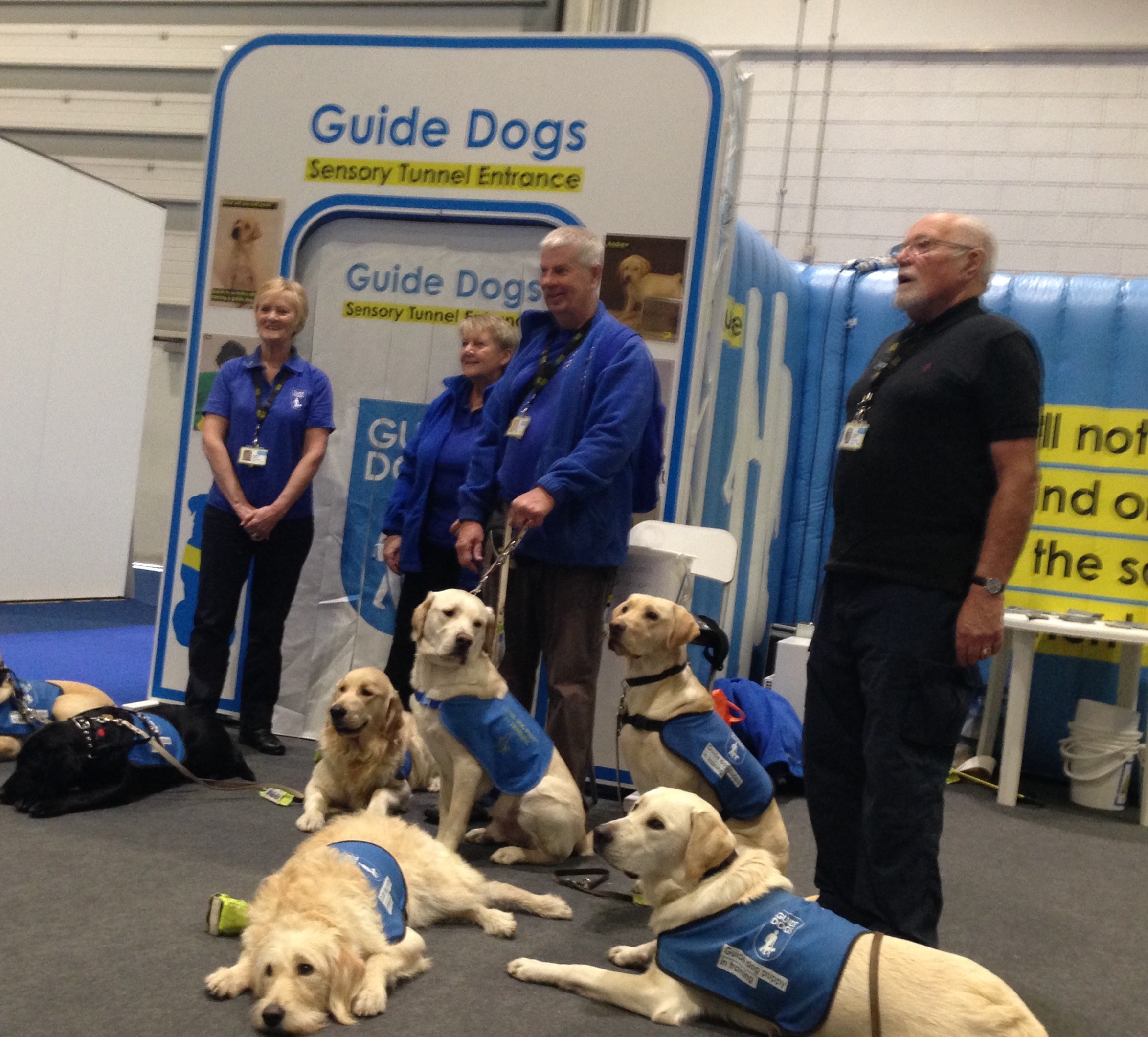 guide dogs 1