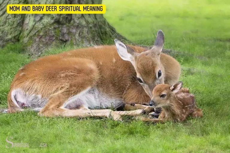 Mamá y bebé ciervo Significado espiritual